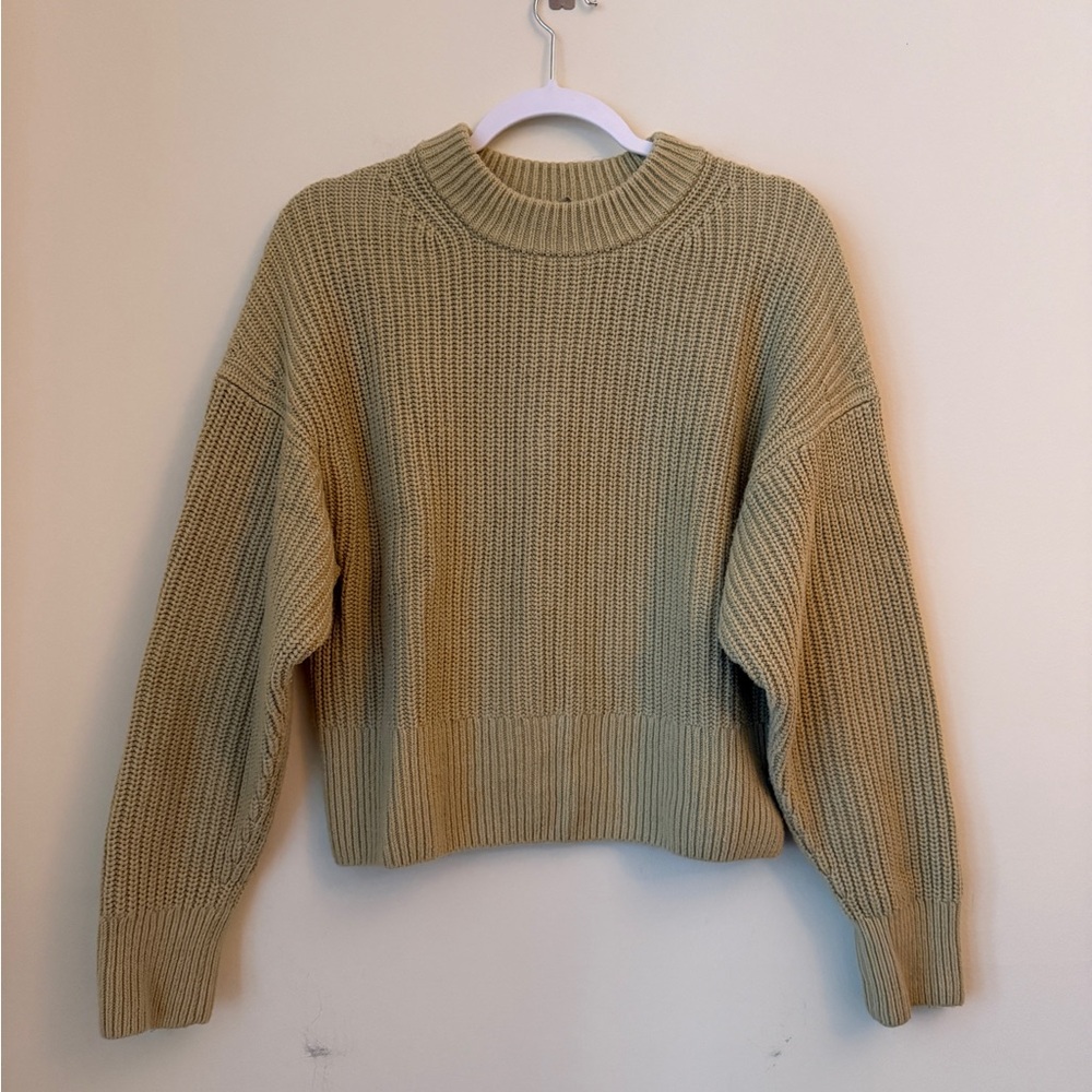 Everlane Chunky 100% Cotton Fisherman Sweater